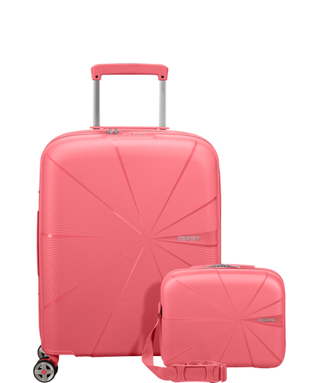 Scandinavian airlines cabin top baggage